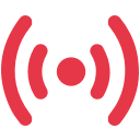 Mobile Phone Security